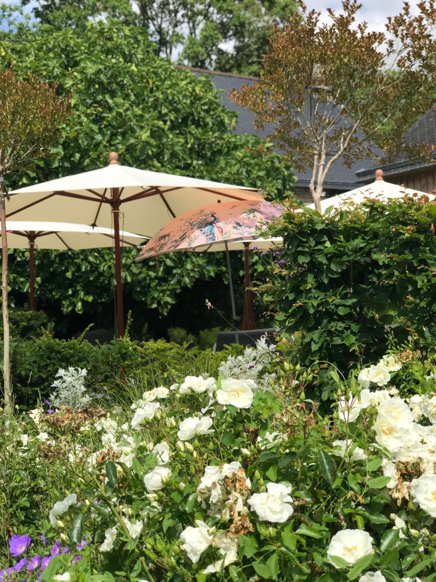Manoir Saint-Andre,B&B De Charme Theix エクステリア 写真
