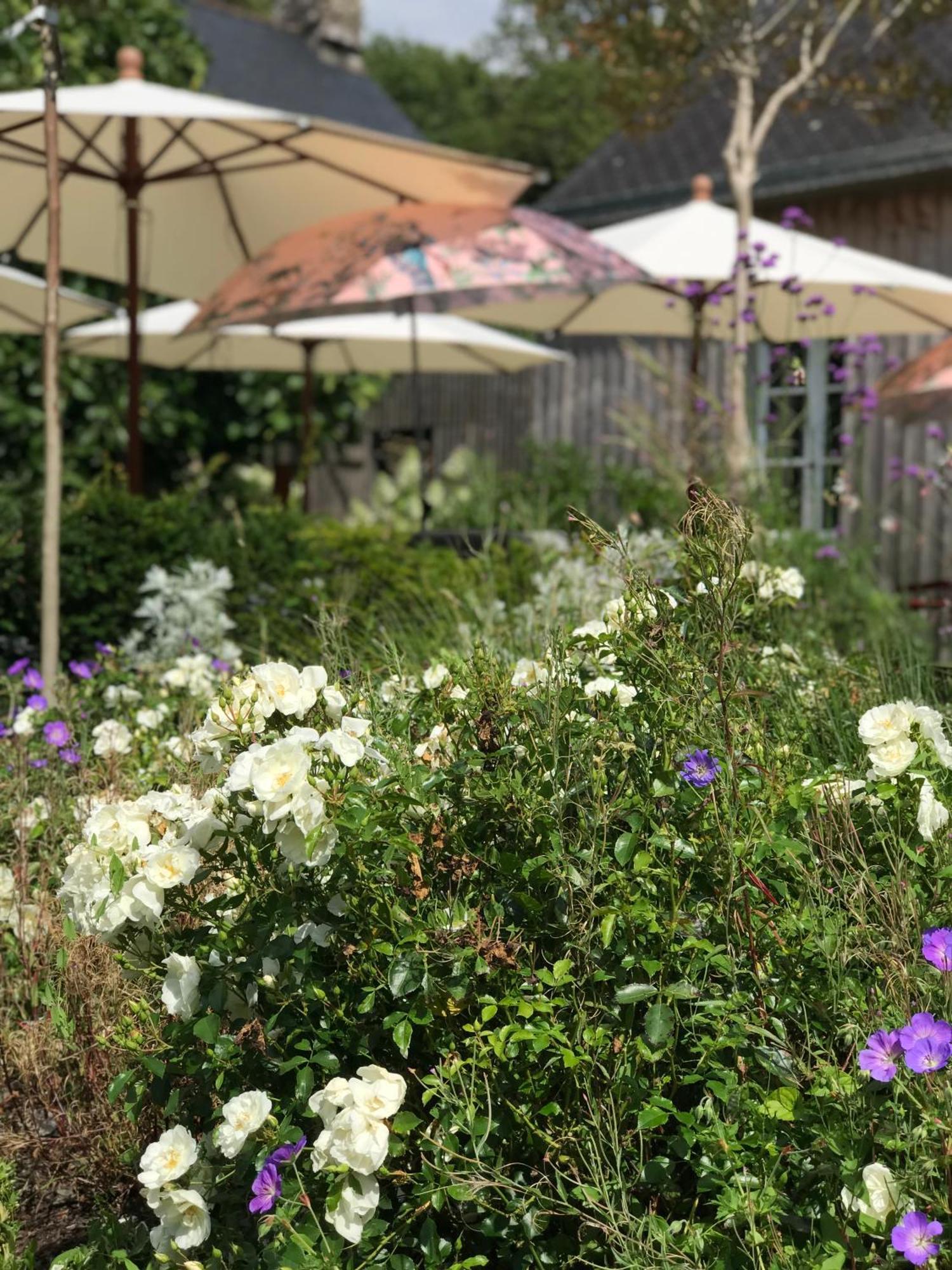 Manoir Saint-Andre,B&B De Charme Theix エクステリア 写真