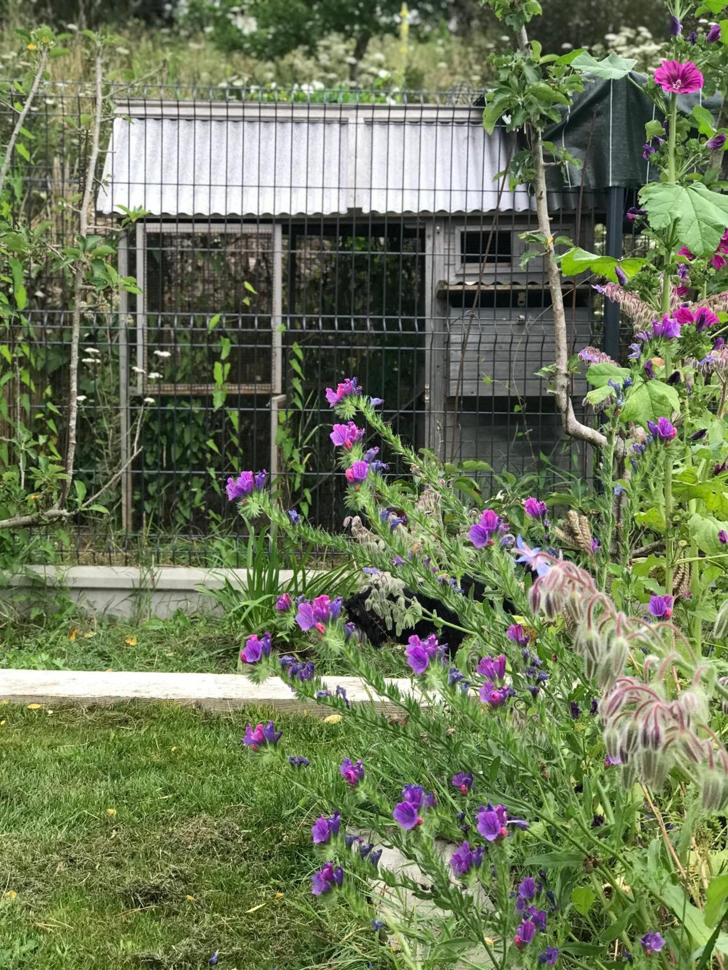 Manoir Saint-Andre,B&B De Charme Theix エクステリア 写真